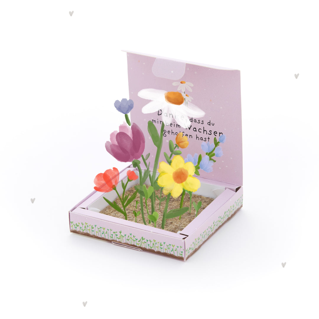 Plant Box - Thank You for Helping Me Grow