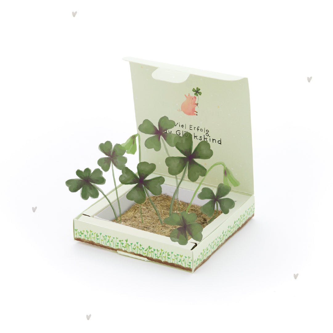 Plant Box - Good Luck You Lucky Child
