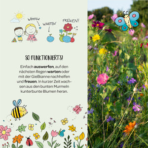 Illustration mit Kindern, Sonne, Blumen, Bienen und Schmetterling, dazu Textanleitung für das Auswerfen und Wachsenlassen bunter Blumen, rechts ein Foto einer bunten Blumenwiese.