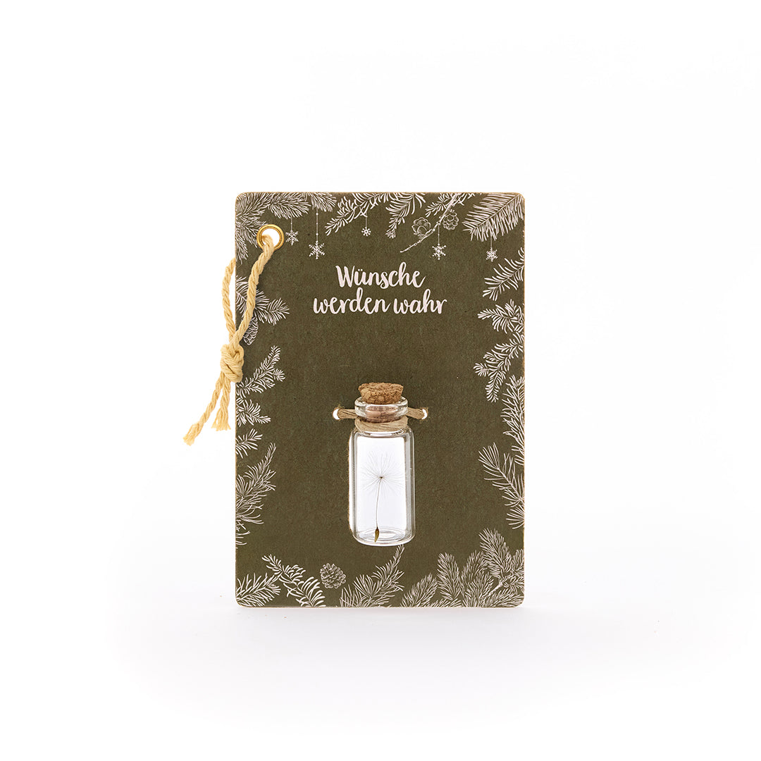 Little wish fulfiller - Wishes come true