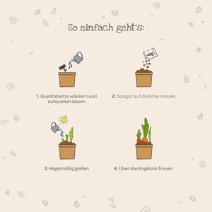 Vier einfache Schritte zum Pflanzenanbau mit Illustrationen: Quelltablette wässern, Saatgut streuen, regelmäßig gießen, über das Wachstum freuen.