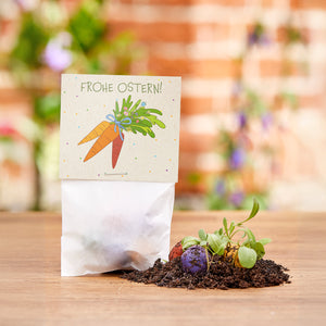 Ostergeschenk mit Karte "Frohe Ostern!", daneben Erde mit kleinen Pflanzen und bunten Samenbällen auf einem Holztisch.