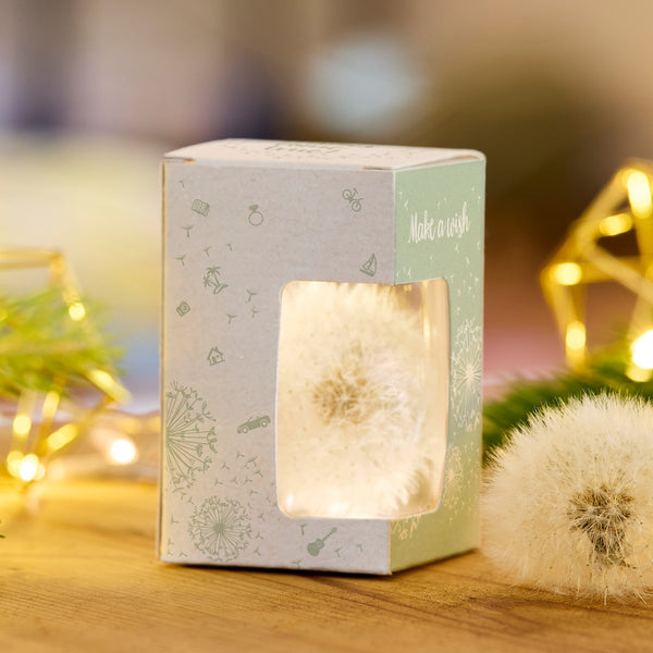 Eine Pusteblume in einer Geschenkbox mit Sichtfenster und der Aufschrift "Make a wish" auf einer HolzoberflÀche, im Hintergrund Lichterdekoration.