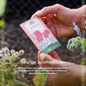 Eine Hand hält ein Tütchen mit Mohnblumensamen im Garten neben blühenden Pflanzen.