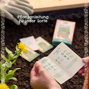 Person hält eine Pflanzanleitung im Garten, im Hintergrund liegen Handschuhe, ein gelbe Blume und verschiedene Saatgutpäckchen auf Erde.