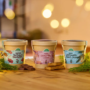 Drei dekorative Pflanztöpfe mit festlichen Etiketten stehen auf einem Holztisch, umgeben von Tannenzweigen, Schokolade und Lebkuchen; im Hintergrund warme, unscharfe Lichter.