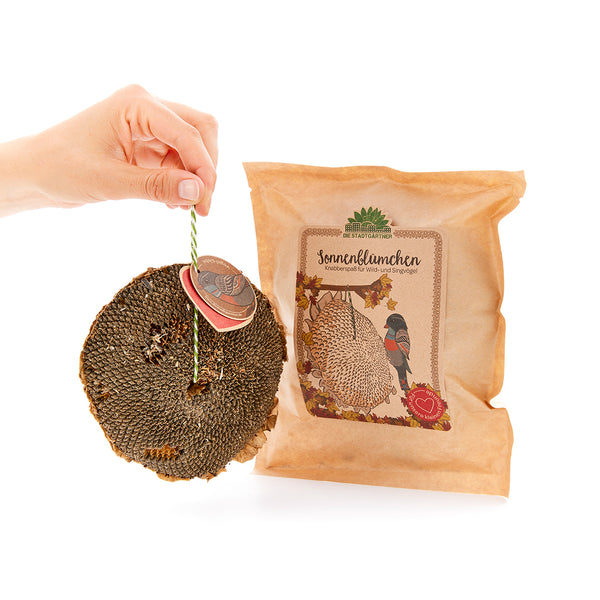 Hand hÀlt ein AnhÀngeschild ÃŒber einer Sonnenblumenkerne-Scheibe, neben einer Packung mit der Aufschrift "SonnenblÃŒmchen" auf weiÃem Hintergrund.
