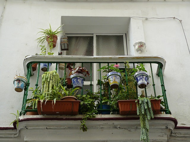 Zeit für den Balkon-Winterschlaf
