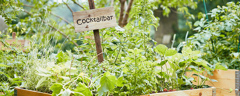 Erfrischende Cocktails selber mixen