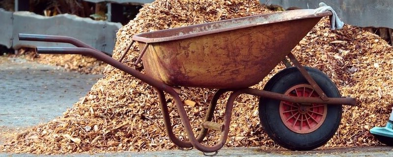 Garten für die Sommersaison vorbereiten