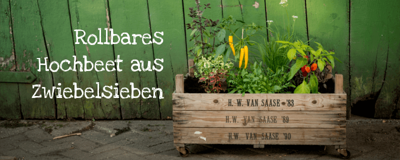 Rollbares Hochbeet aus Zwiebelsieben