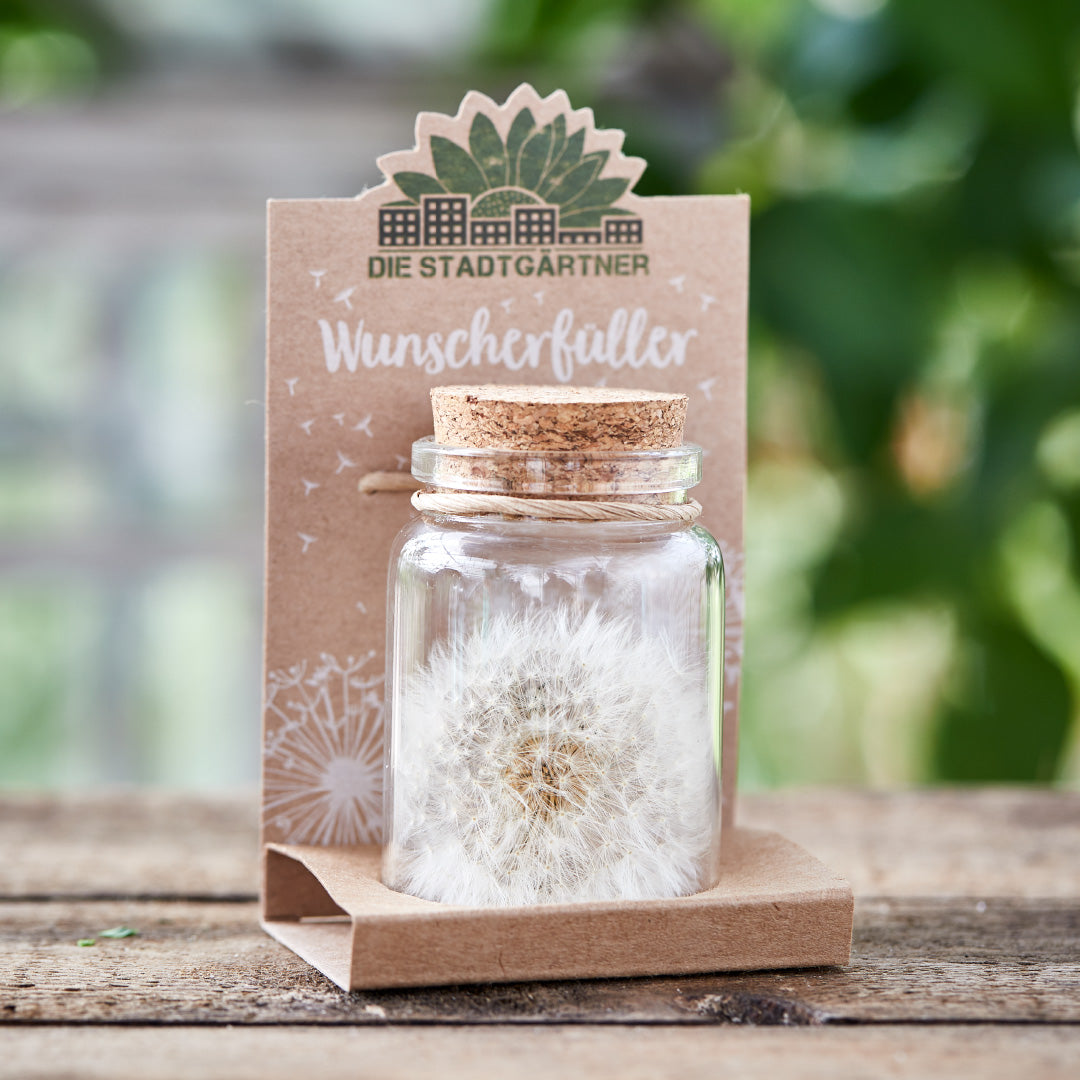 Wünsche verschenken