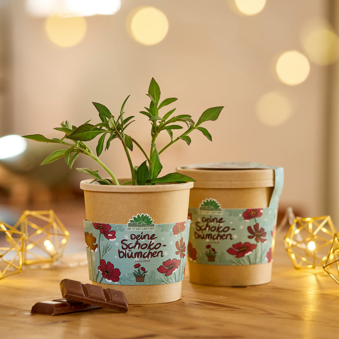 Nachhaltige Weihnachtsgeschenke