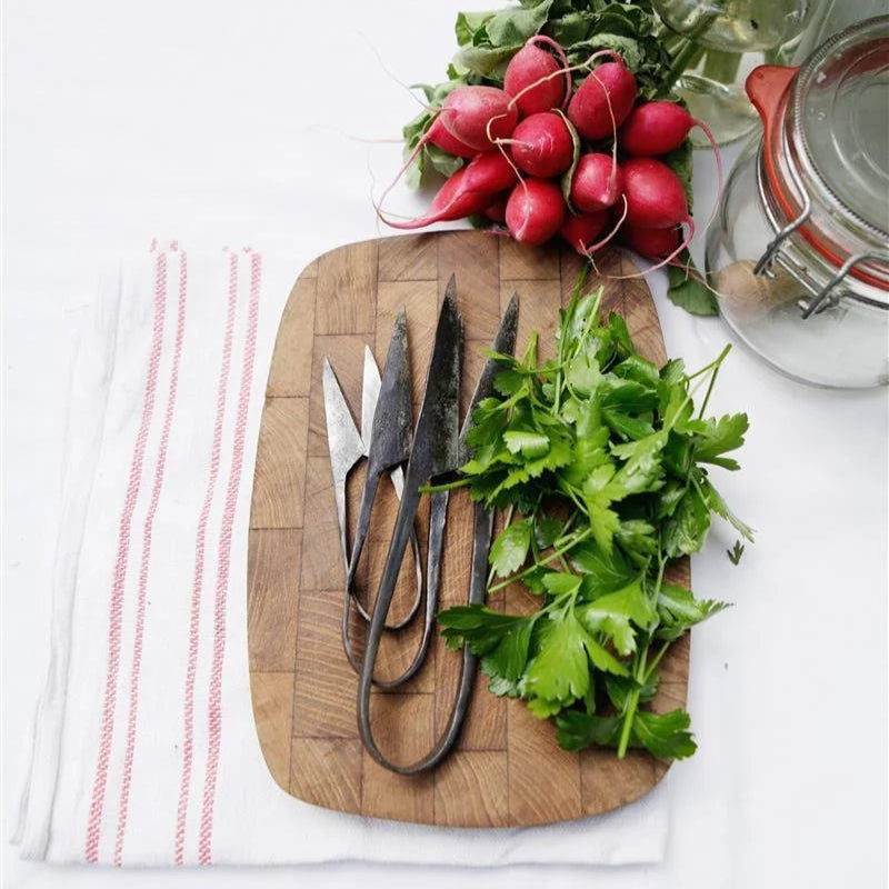 Handcrafted Herb and Kitchen Scissors