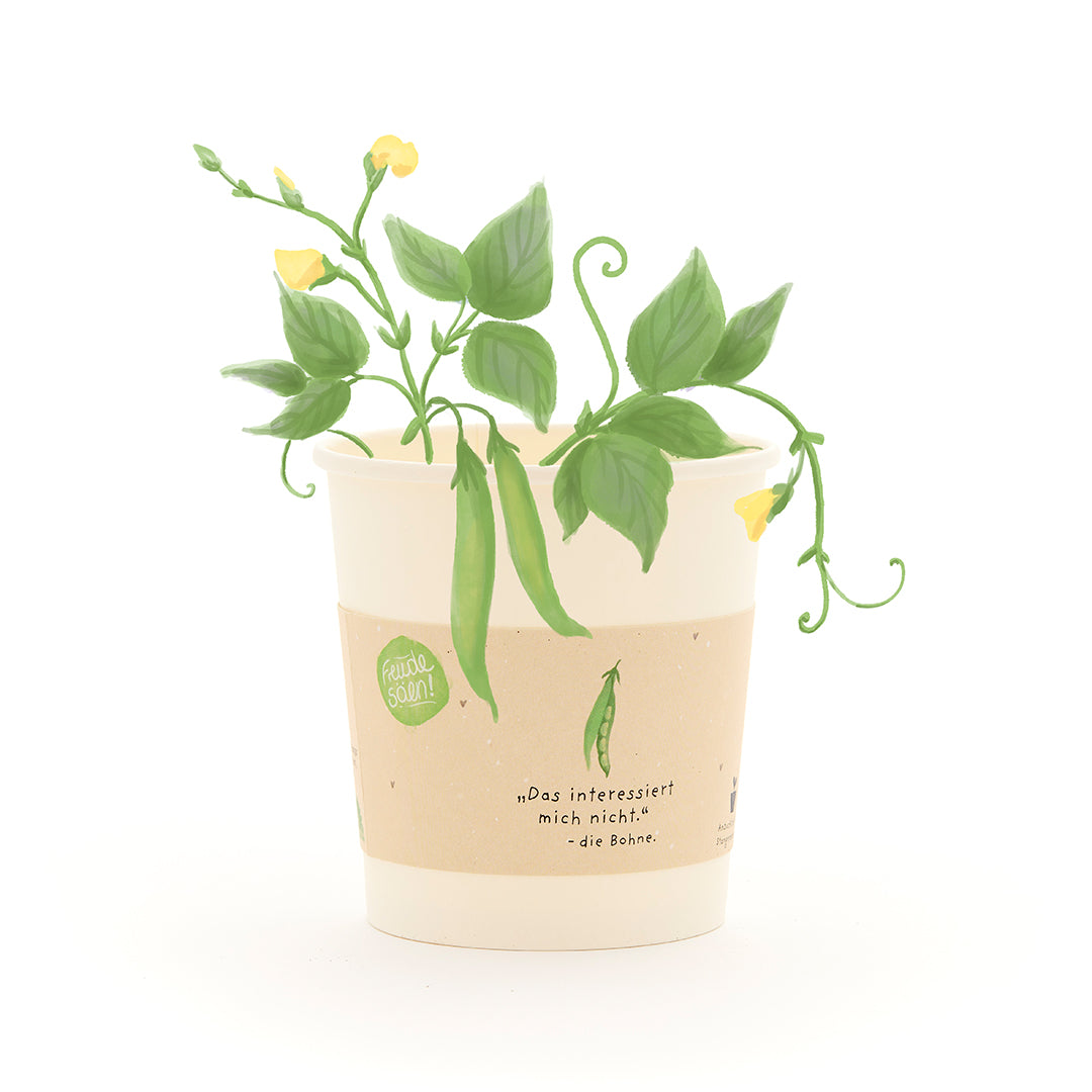 Ein Pappbecher mit einer wachsenden grünen Bohnenpflanze und gelben Blüten, auf dem Becher steht ein Spruch über Bohnen.