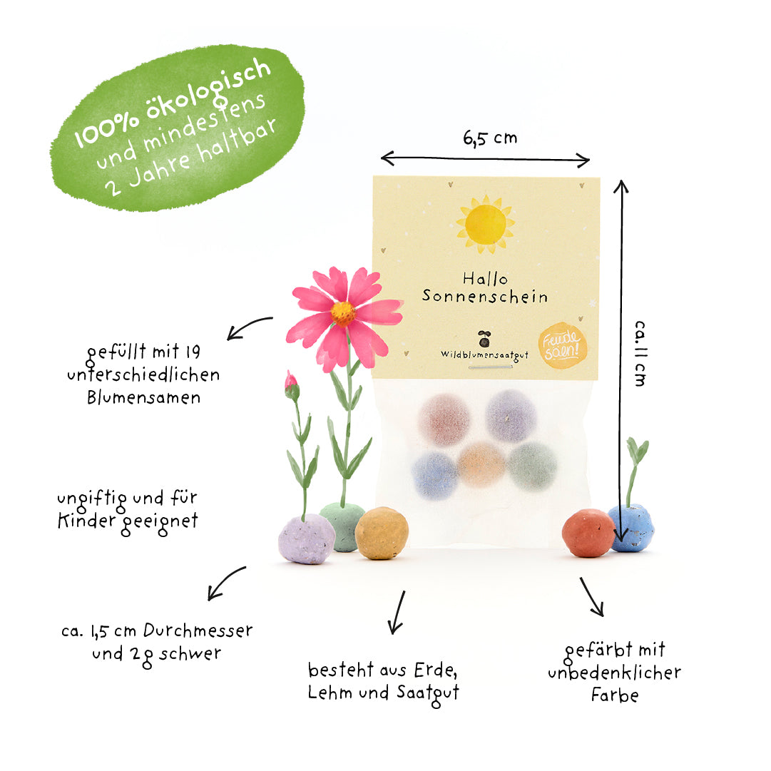 Verpackung mit bunten Samenbällchen, daneben handgezeichnete Pflanzen und erklärende Texte auf Deutsch zu Eigenschaften wie biologisch, ungiftig, gefüllt mit 19 Blumensamen, und Größe der Samenbällchen.