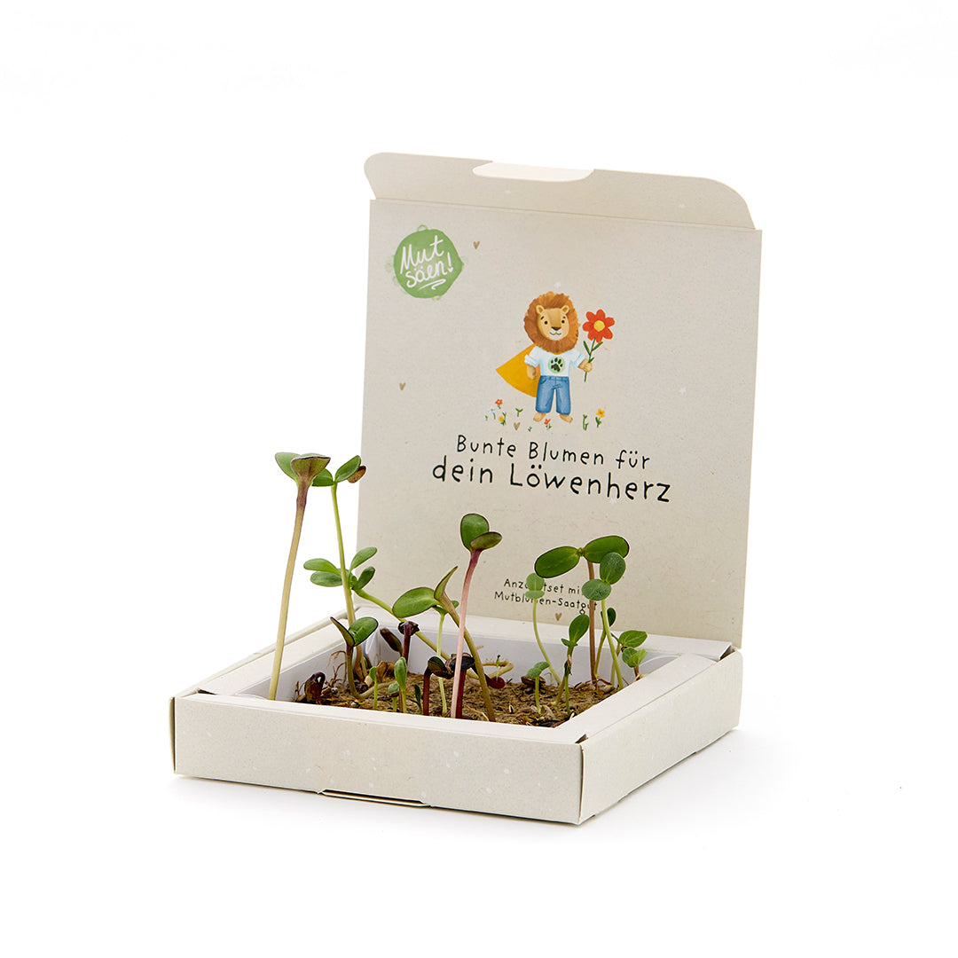 Plant box – Courage flowers