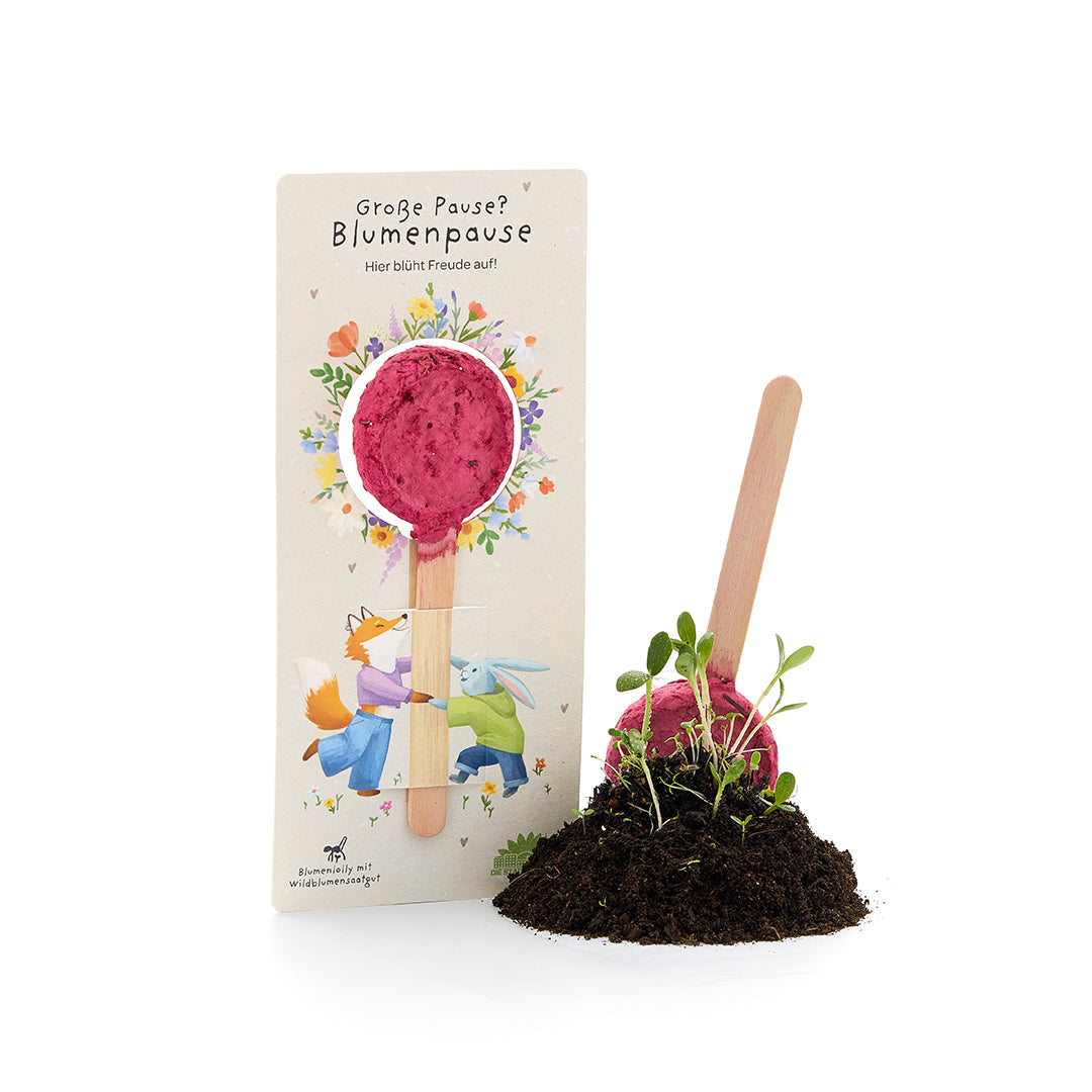 Big break - Flower lollipop