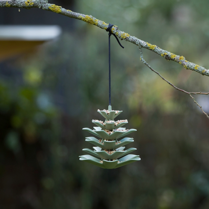 Bird Feeder Pine Cone