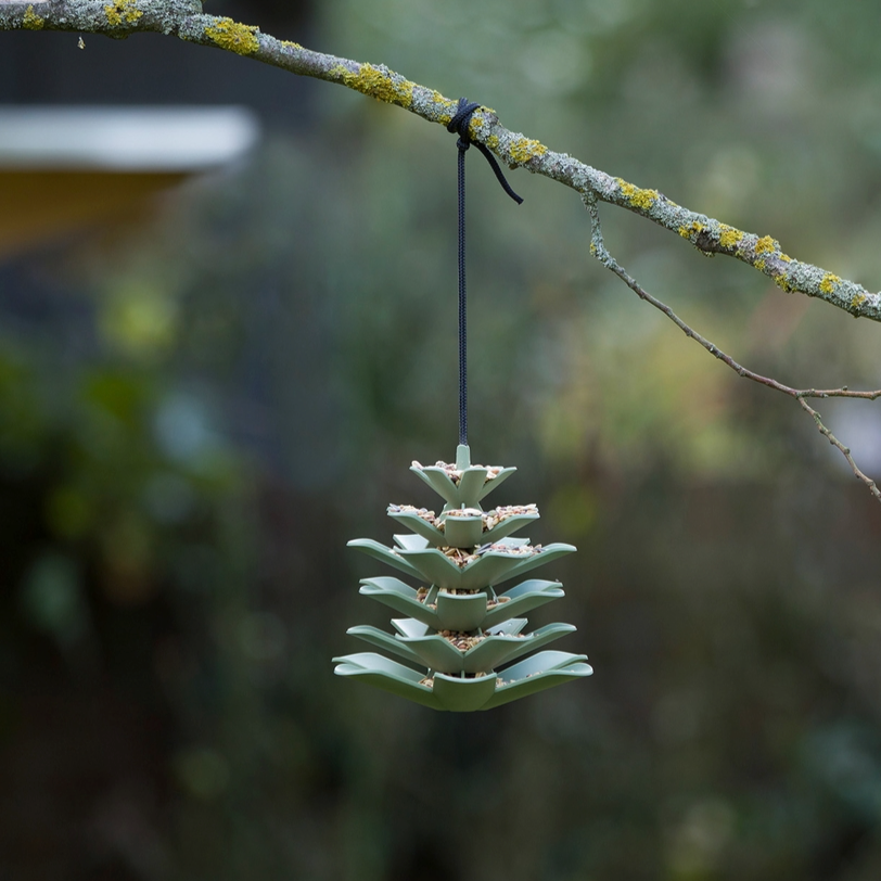 Bird Feeder Pine Cone