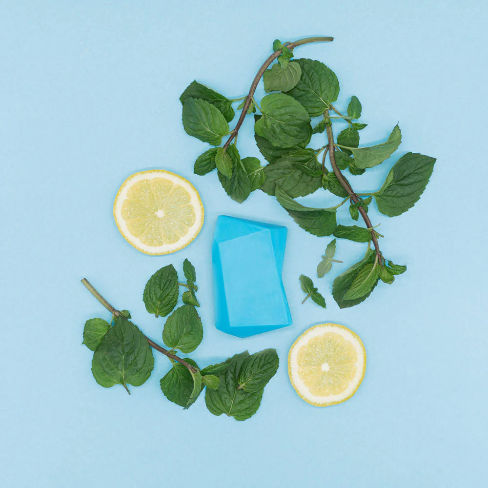 Solid Shampoo & Shower Gel Maxi Mint