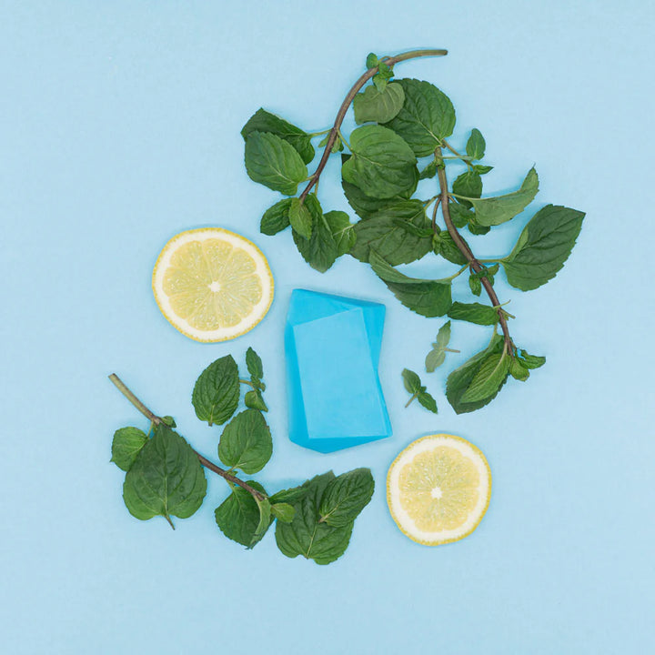 Solid Shampoo & Shower Gel Maxi Mint