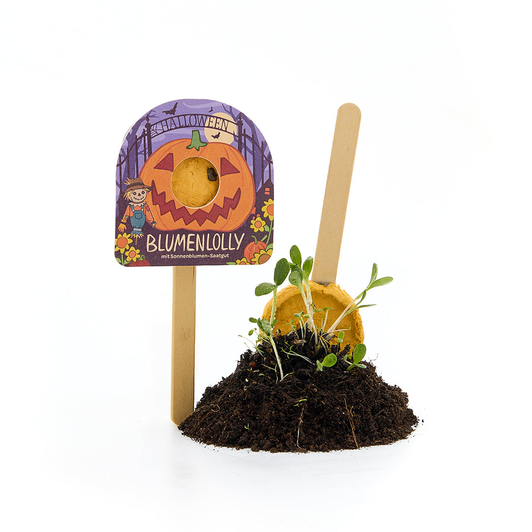 Halloween - Flower Lollipop - Sunflower