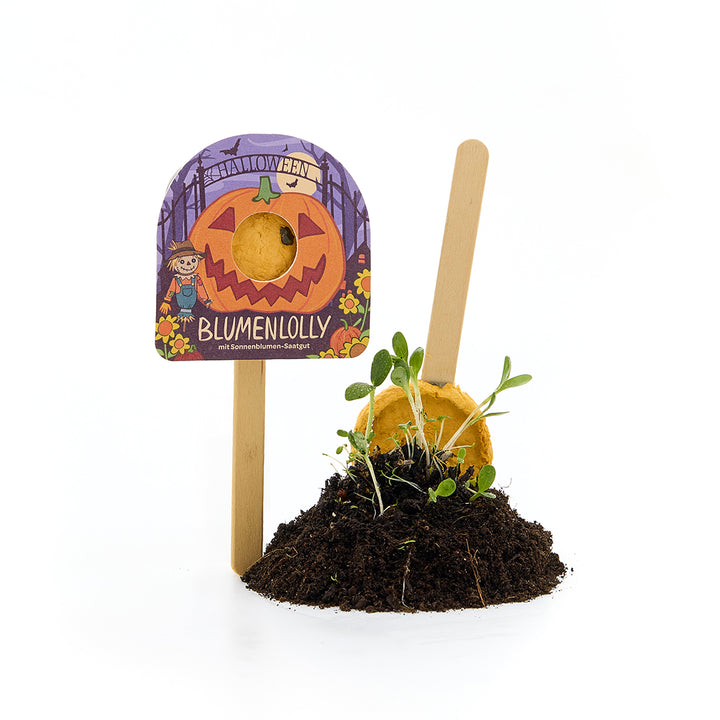 Halloween - Flower Lollipop - Sunflower