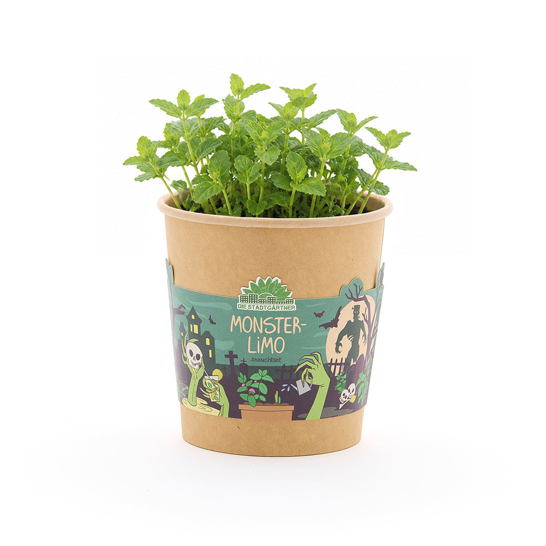"Monster Soda" - Halloween Cup