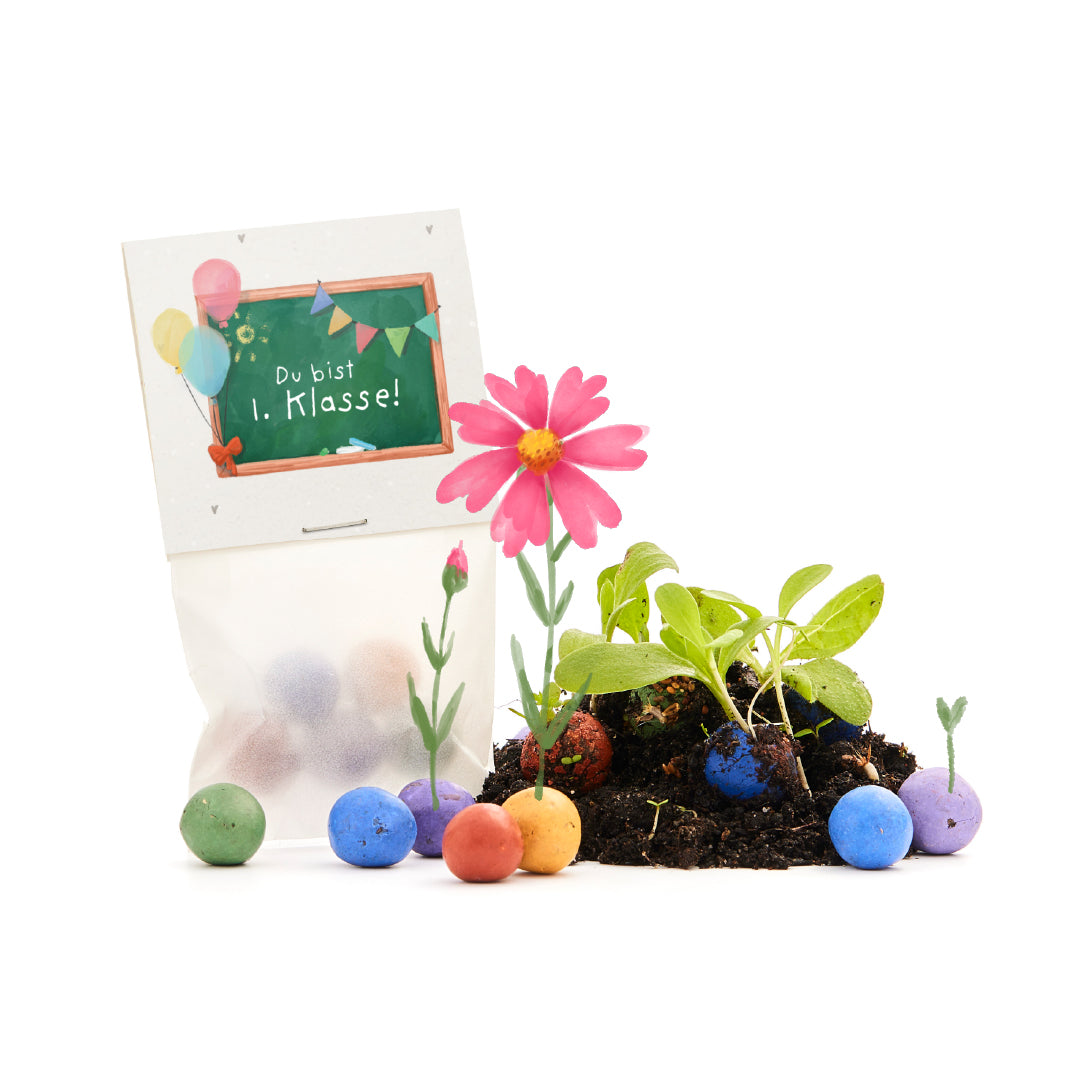 5 flower marbles in a bag for starting school "You are 1st grade"