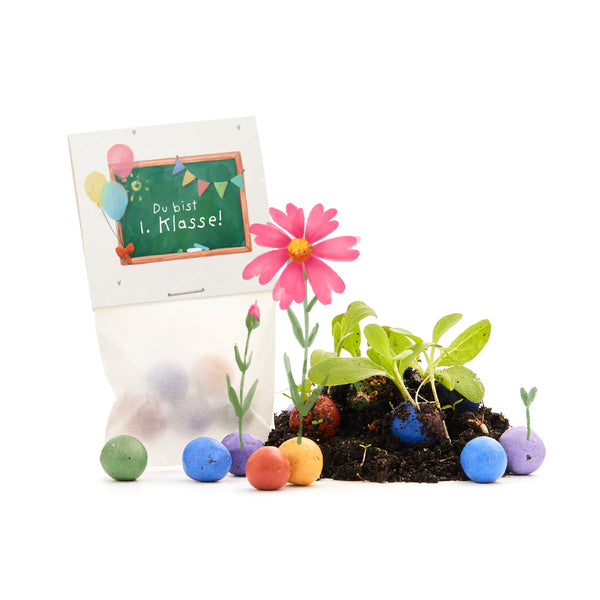 5 flower marbles in a bag for starting school "You are 1st grade"
