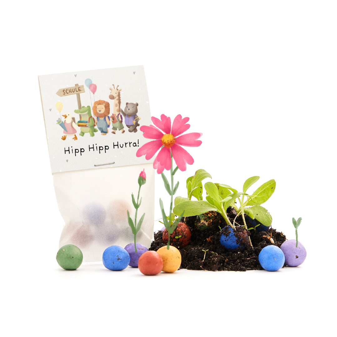 5 flower marbles in a bag for starting school "Hip Hip Hooray!"