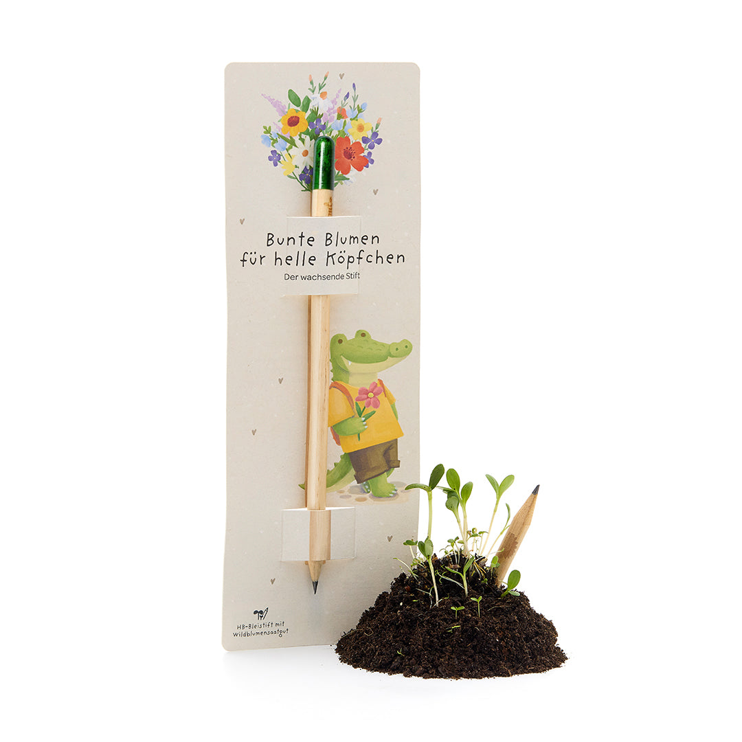 Growing pencil with seed capsule - Flower pencil