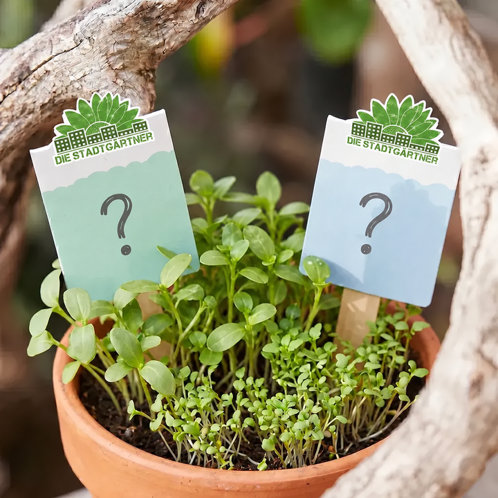 2-piece Seed Greetings Surprise Set