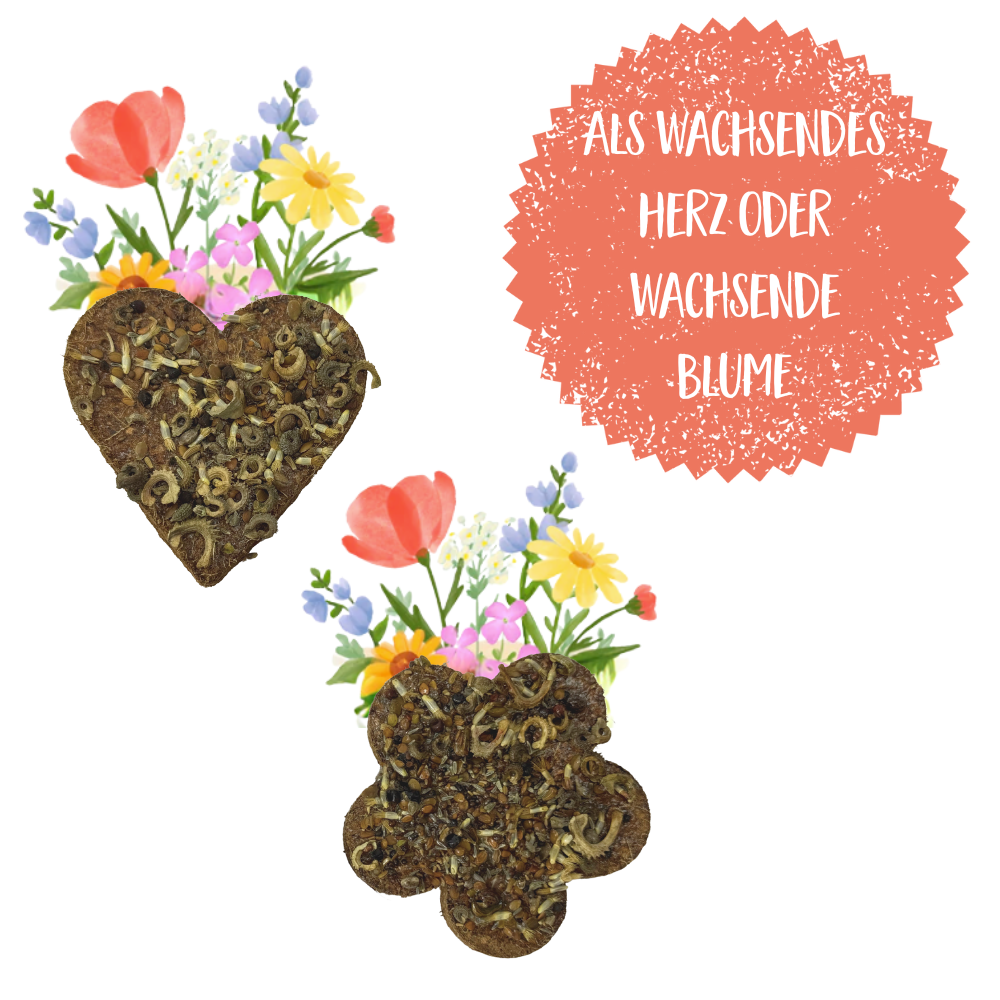 Growing Heart / Flower