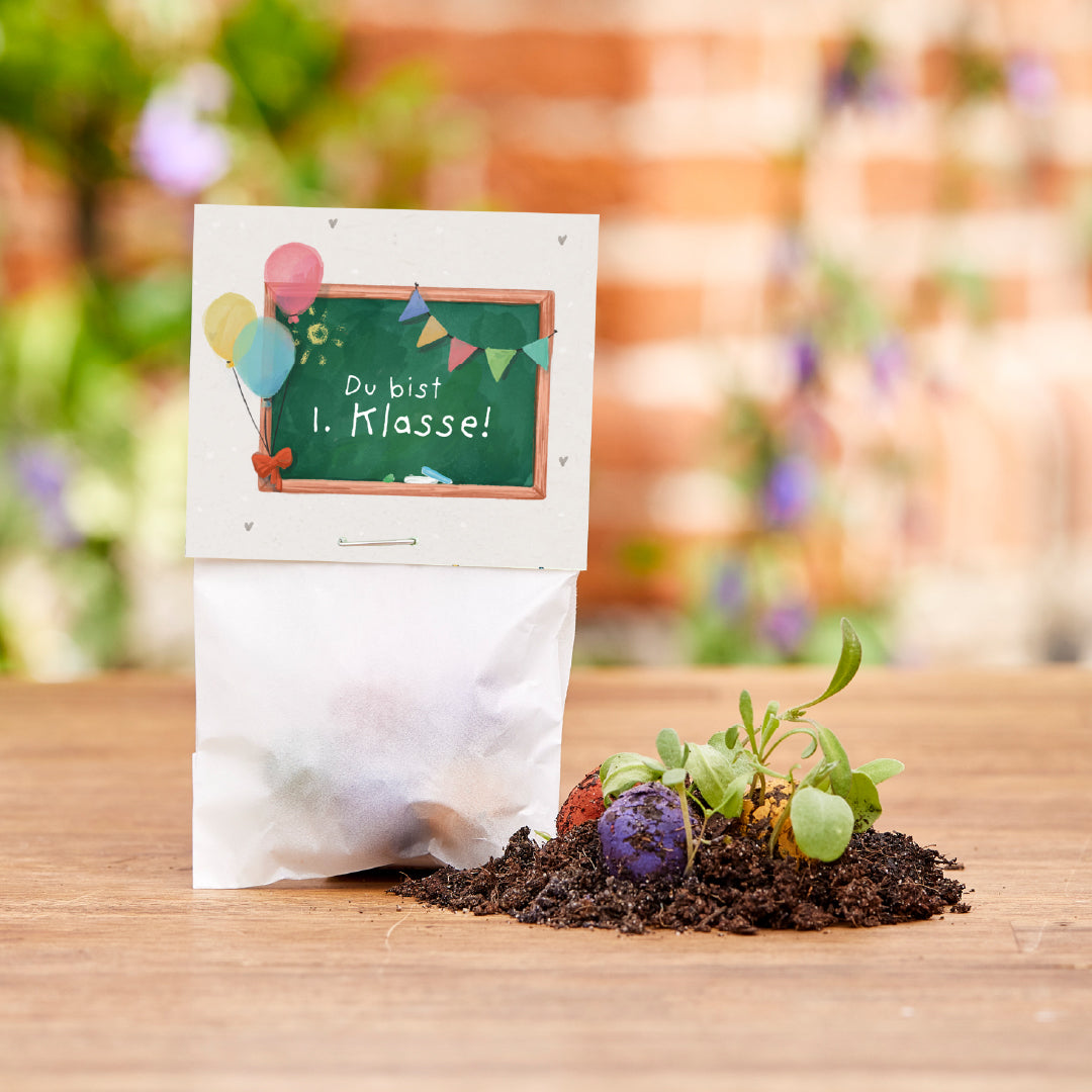 5 flower marbles in a bag for starting school "You are 1st grade"