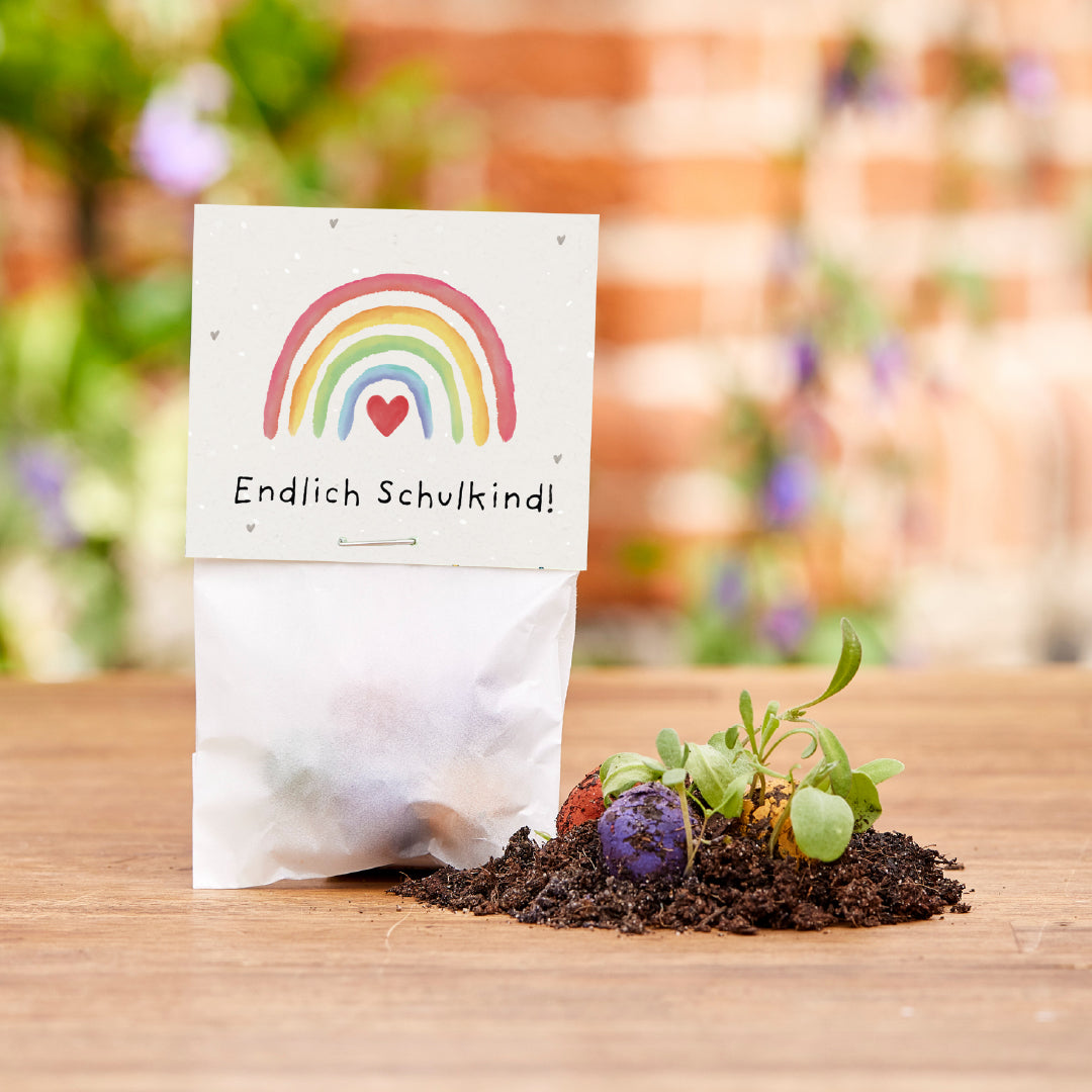 5 flower marbles in a bag for starting school "Finally a schoolchild"