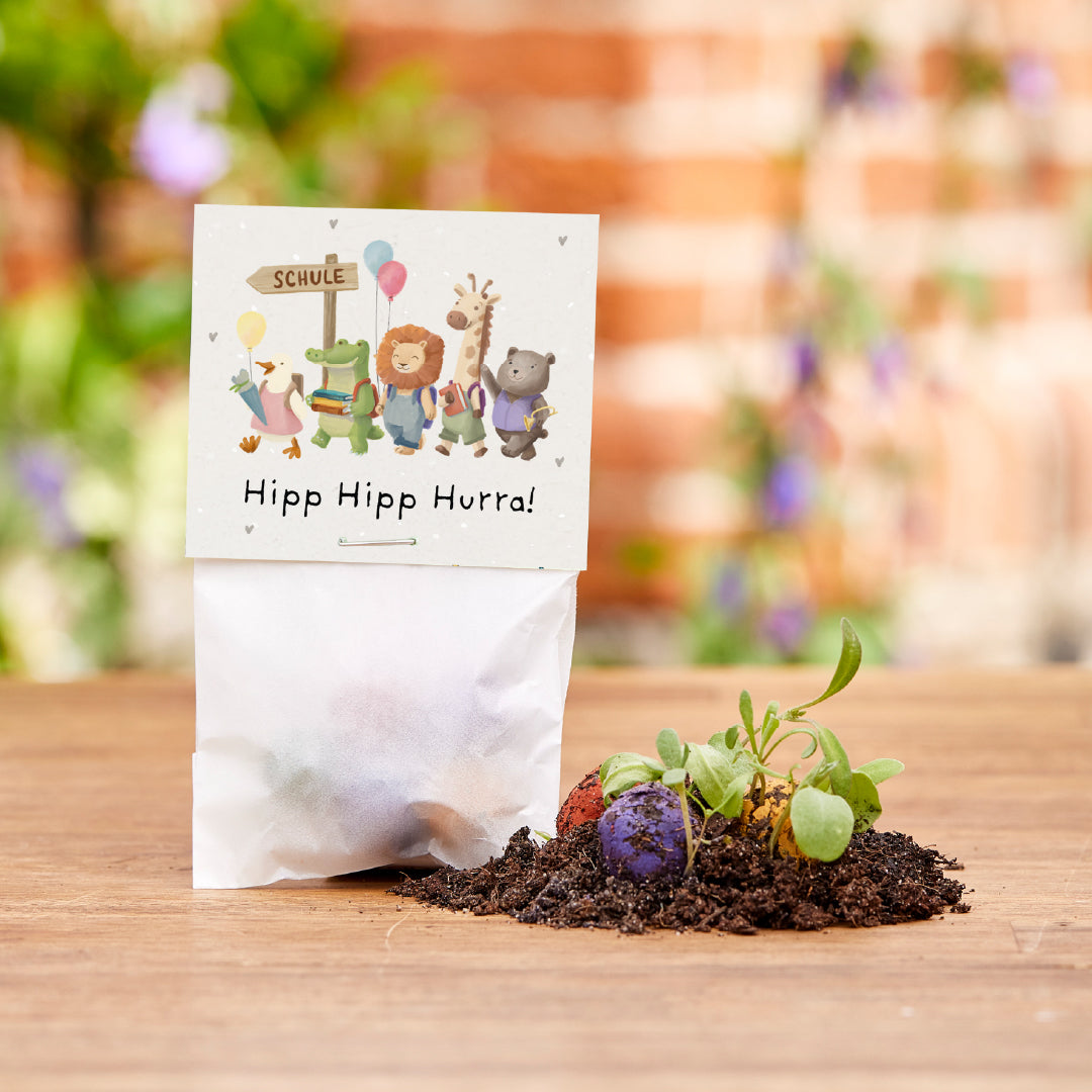 5 flower marbles in a bag for starting school "Hip Hip Hooray!"