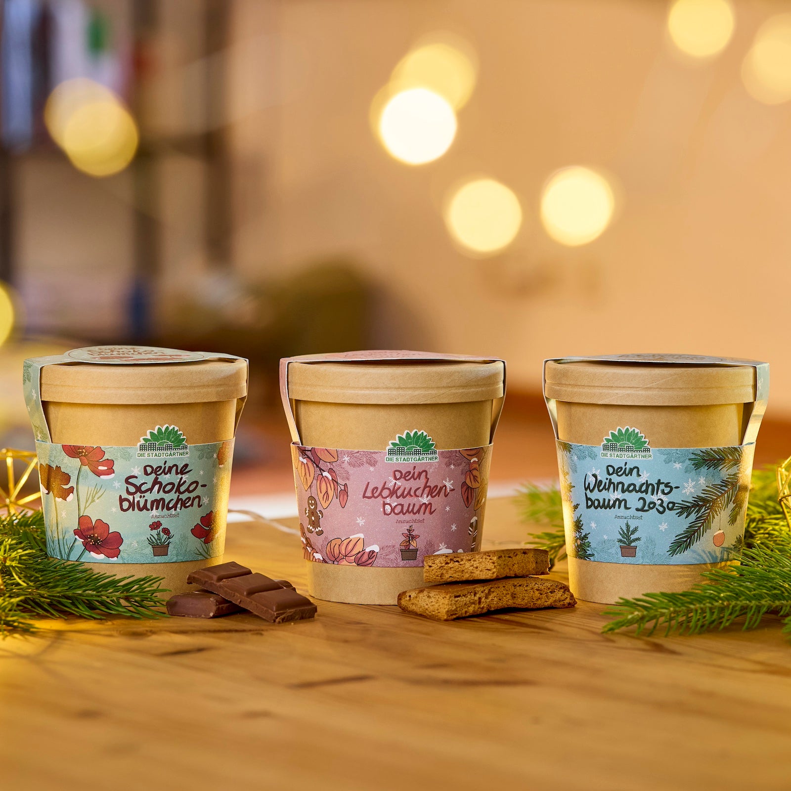 Drei dekorative Pflanztöpfe mit den Aufschriften „Dein Schokoblümchen“, „Dein Lebkuchenbaum“ und „Dein Weihnachtsbaum 2023“ stehen auf einem Holztisch, umgeben von Tannenzweigen, Schokoladenstücken und Lebkuchen, im Hintergrund warme, unscharfe Lichter.