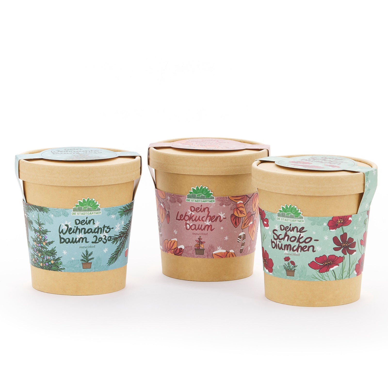 Drei braune Pflanztöpfe mit bunten Etiketten, beschriftet mit "Dein Weihnachtsbaum", "Dein Lebkuchenbaum" und "Deine Schokoblümchen".