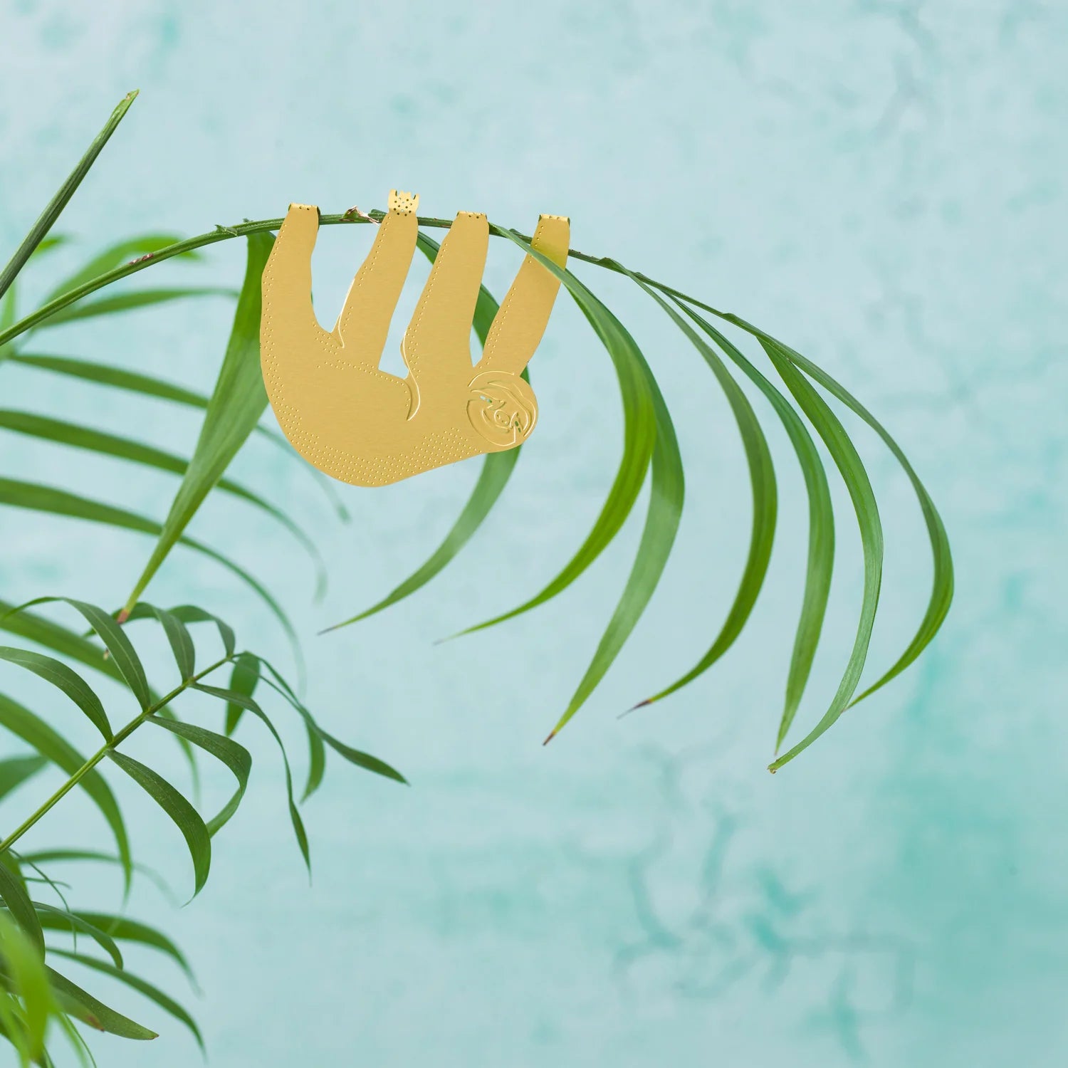 Plant Animal Sloth