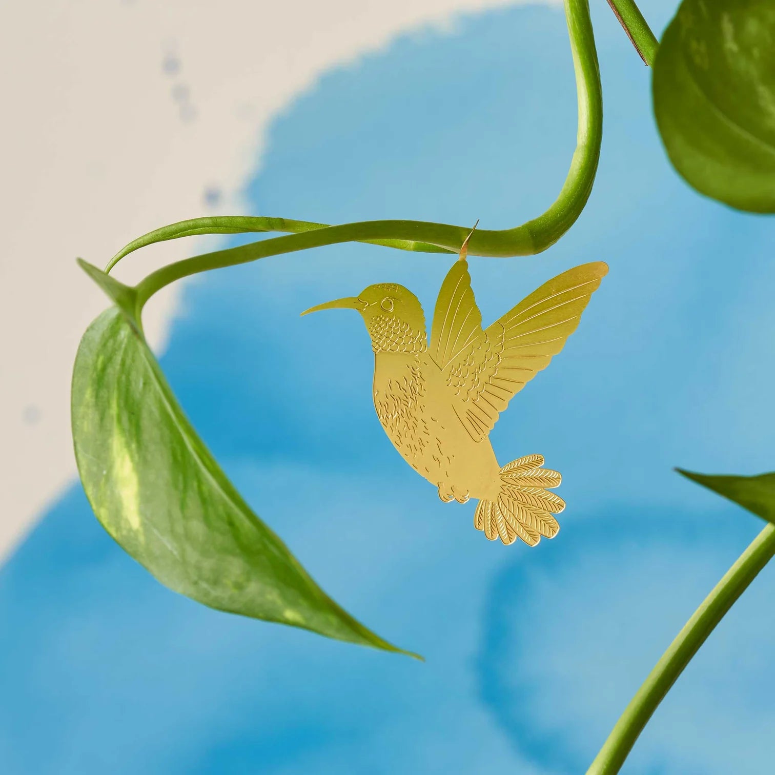 Plant Animal Hummingbird