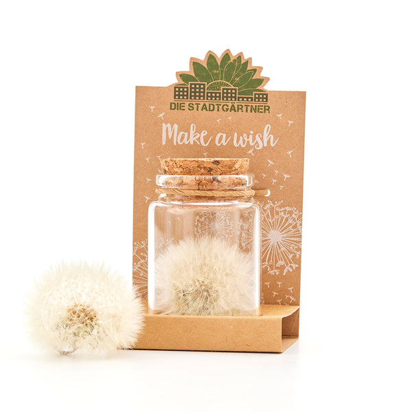 Make-A-Wish - Real Dandelion