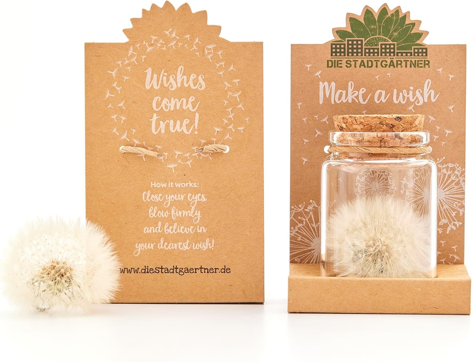 Make-A-Wish - Real Dandelion