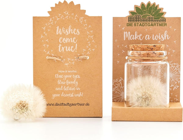 Make-A-Wish - Real Dandelion