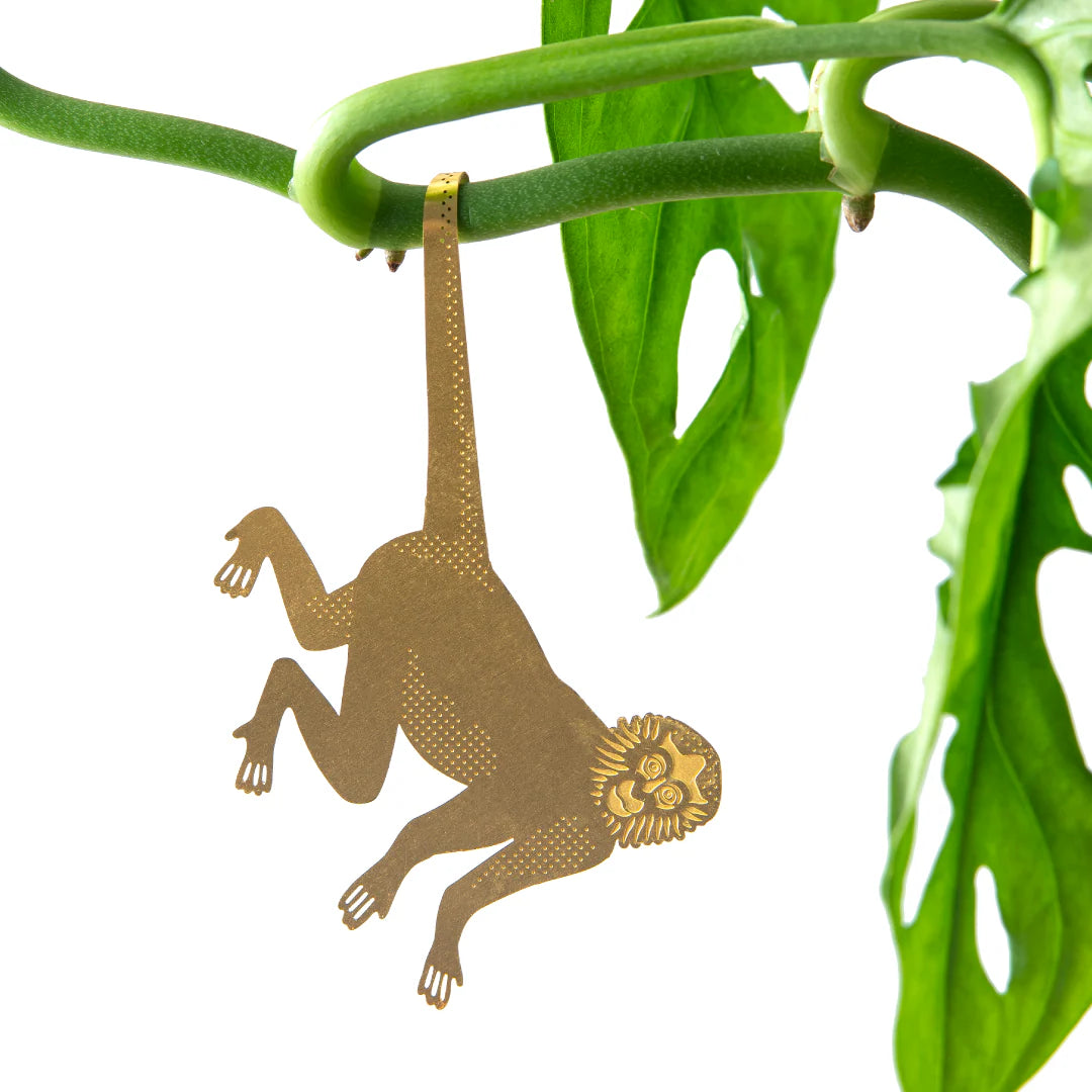Plant animal sloth
