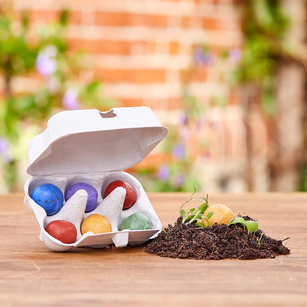 6 colorful flower marbles in an egg carton - Power flowers