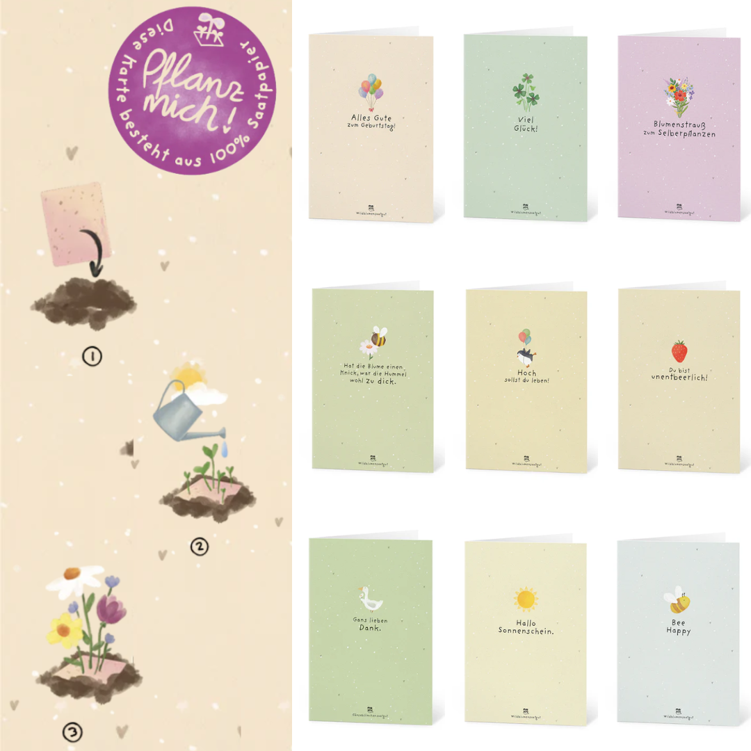 Blooming greetings for every occasion: 9-piece greeting card set