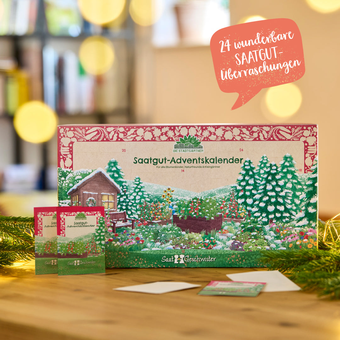 Adventskalender mit 24 Saatgut Überraschungen