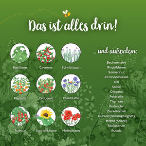 Viele verschiedene Sorten zum Beispiel: Basilikum, Cayenne, Schnittlauch, Physalis, Erdbeere und viele mehr